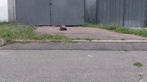 Машинка на управлении NIKKO HUMMER H2 1:14 | RC Cars