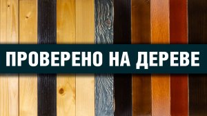 Секрет идеального покрытия для деревянных поверхностей. Покраска и лакировка древесины из баллончика
