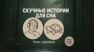 Скучные истории для сна — Усни под звуки дождя | Монотонный рассказ о черепахах