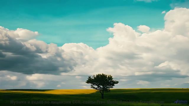 Ты не сможешь дышать, пока не досмотришь до конца! - Grumpy Cat -- Holizna4KidsMusic -- Grumpy Cat