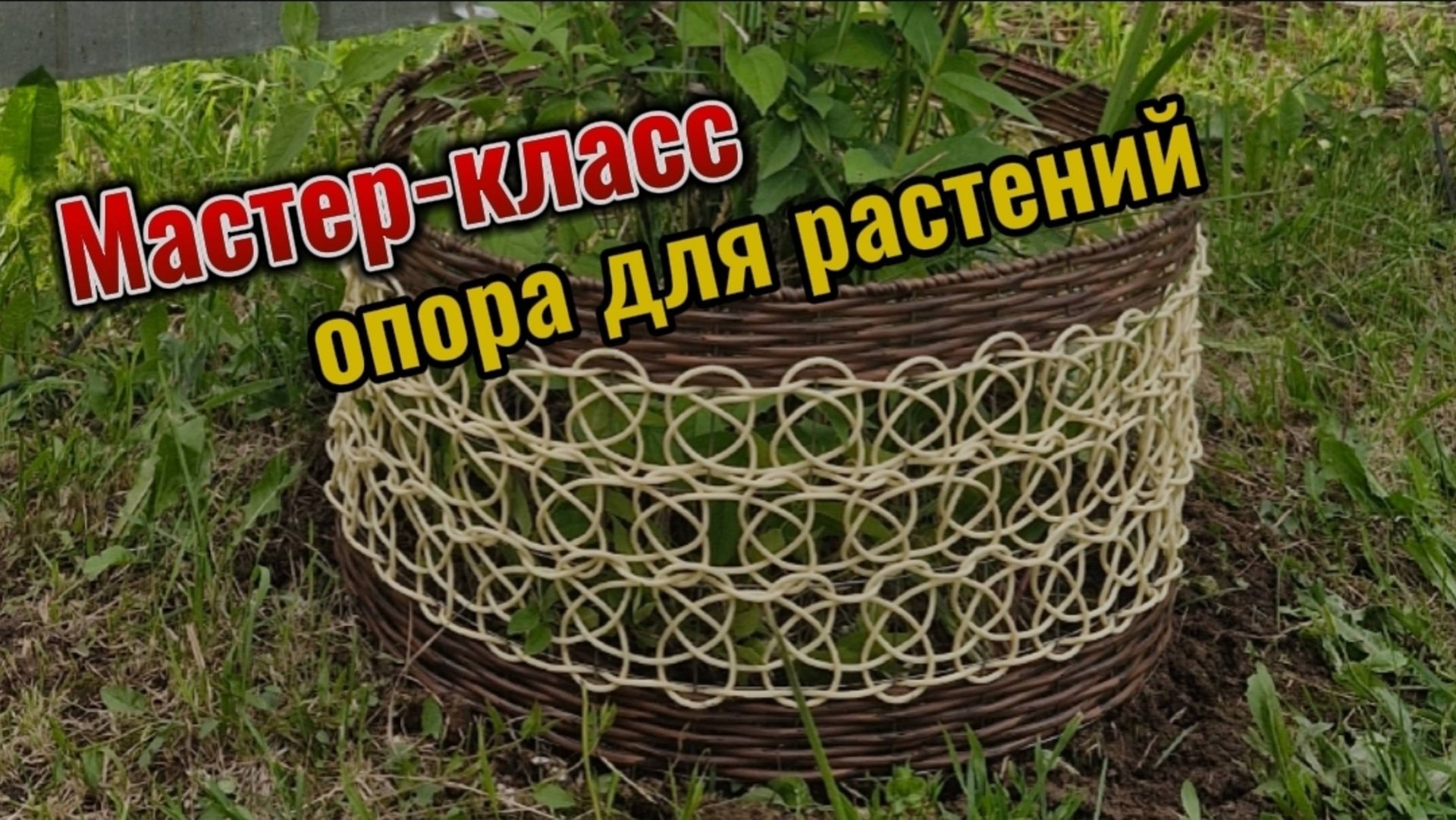 опора для растений из ротанга смотреть онлайн