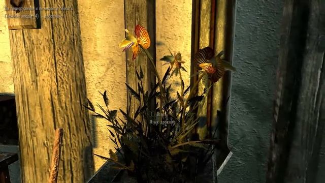 я играю в Скайрим и покажу дом для игрока