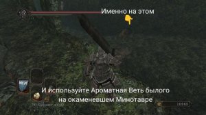 Гайд где найти лучшую катану в Dark Souls II
