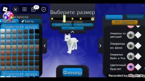 проверяю коды в котах воителях