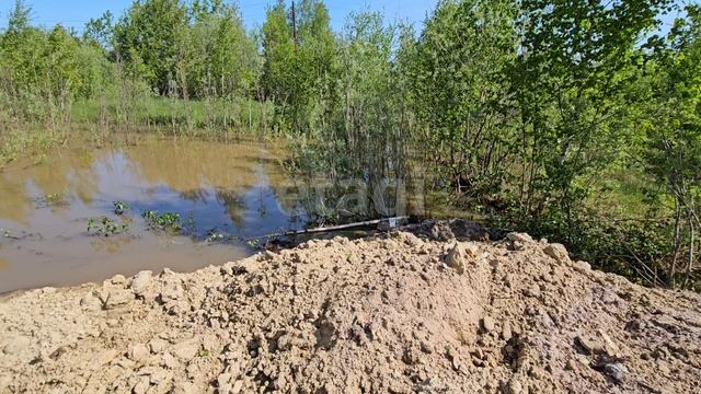 7645786 Победит 1 смотреть онлайн
