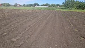 вот и прошёл первый год в России, но мы так и не прижились, продаём дом и......