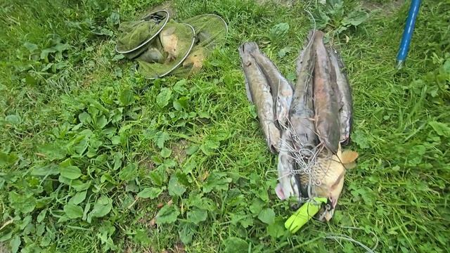 08.06.25 г. Парк отдыха водопад смотреть онлайн