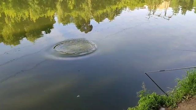 Утро Карп смотреть онлайн