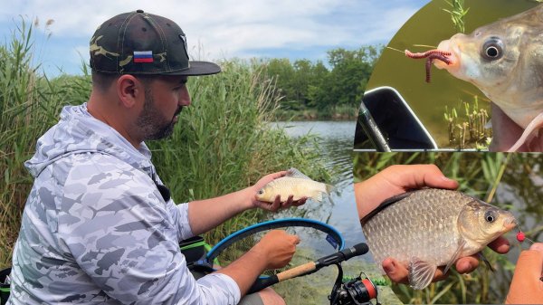 Червь или бойл? Что летом выберет карась? Смотри и узнаешь!