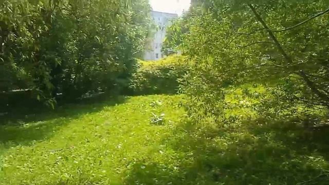 Ф.Таррега. Японская полька смотреть онлайн