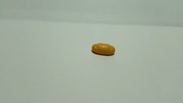 LPS/ КОНСЕРВА/ПОПАЛАСЬ СПАНИЕЛЬ!!! смотреть онлайн