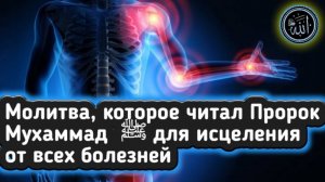 ✅ ДУА от Любой Боли и Болезней на Теле Человека. Положи руку и Читай молитву поможет Ин Ща АЛЛАХ!!!