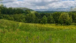 Ты живи моя страна. Сюзанна Светличная