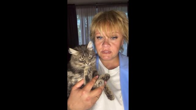 Прямой эфир. смотреть онлайн