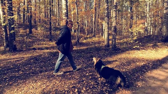 Каспер. Осеннее путешествие в Марий-Эл.