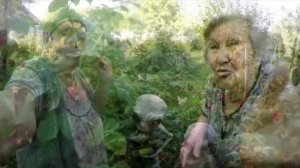 Все это время на РЕН-ТВ показывали правду. Инопланетяне на огороде у бабушки