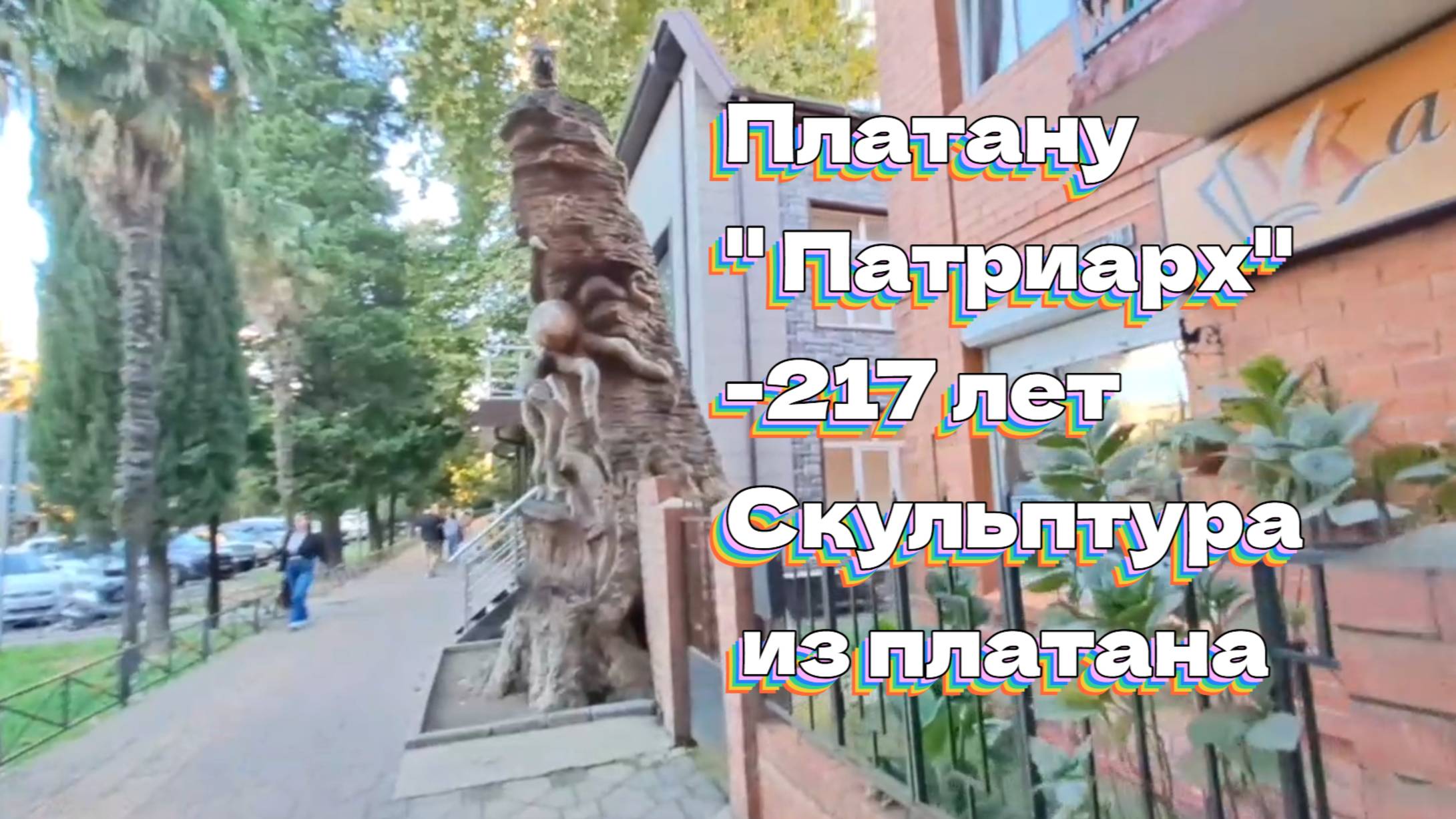 Платану "Патриарх" -217 лет). Скульптура из платана смотреть онлайн