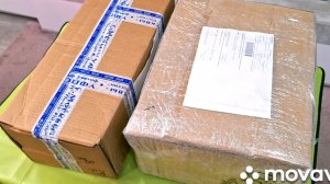 КОМНАТНЫЕ РАСТЕНИЯ(ЦВЕТЫ).ОПЯТЬ НОВИНОЧКИ.ДВЕ ПОСЫЛКИ С РАСТЕНИЯМИ.