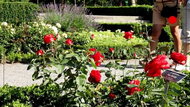 Menschen A1.1 Clip 11 смотреть онлайн