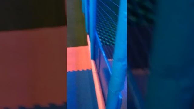 Аватария Шымкент смотреть онлайн