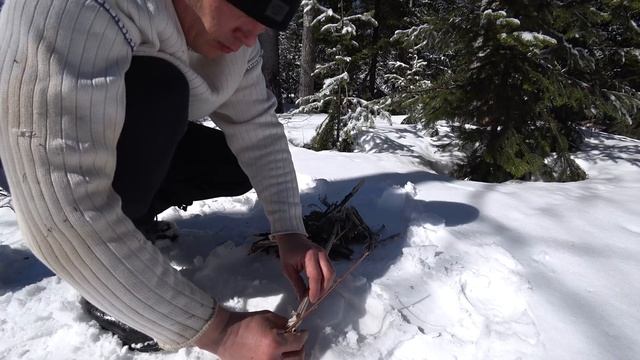 Лесная спичка