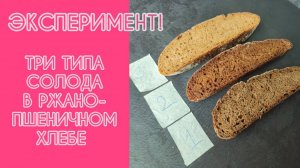 🌾 ТРИ ВИДА ТЁМНОГО СОЛОДА в ржано-пшеничном хлебе: ЭКСПЕРИМЕНТ! Какой вкуснее и ароматнее? 🍞