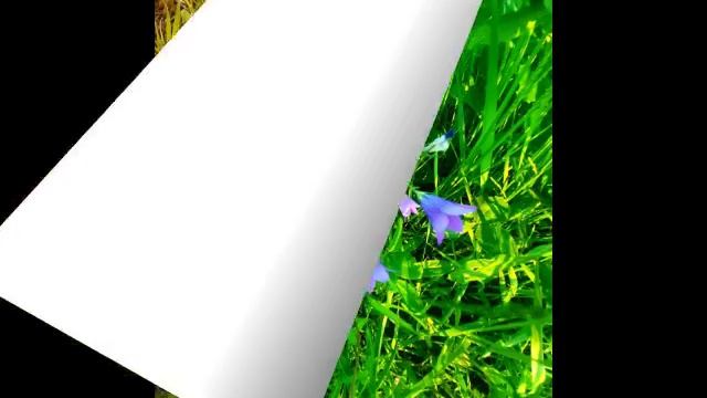 Цветы, природа и прекрасная мелодия.Июнь первый месяц лета☀️🌺.mp4 смотреть онлайн