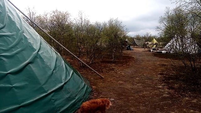 Жилище оленеводов смотреть онлайн