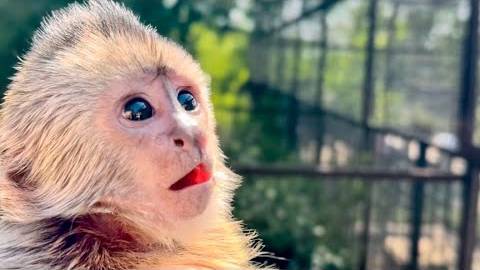 Финик В ШОКЕ! Мы принесли его родителям угощениями, а они устроили СКАНДАЛ с соседями! смотреть онлайн