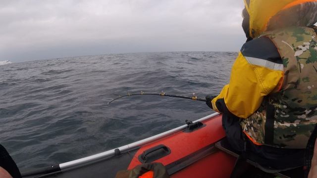 GOPR2877 смотреть онлайн