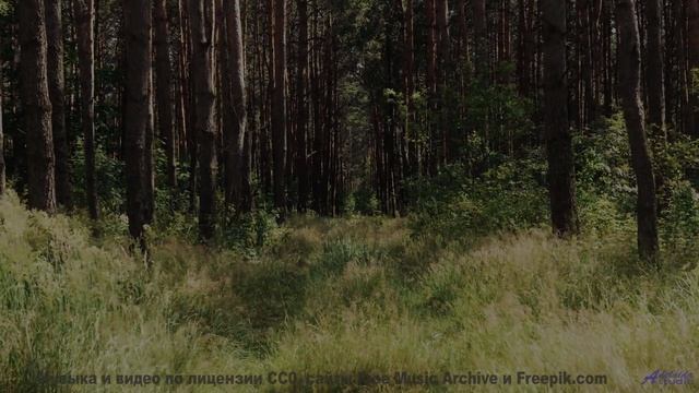 Музыка меняет восприятие при каждом кадре - Unconscious -- Selfpity -- Unhappy Thoughts