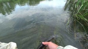 Ловля ПЛОТВЫ на МОРМЫШКУ летом: Секретный метод для большого улова! (30 рыб за час)