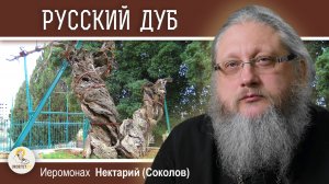 ХЕВРОН. Часть #3. РУССКИЙ МАМВРИЙСКИЙ  ДУБ. Иеромонах Нектарий (Соколов)