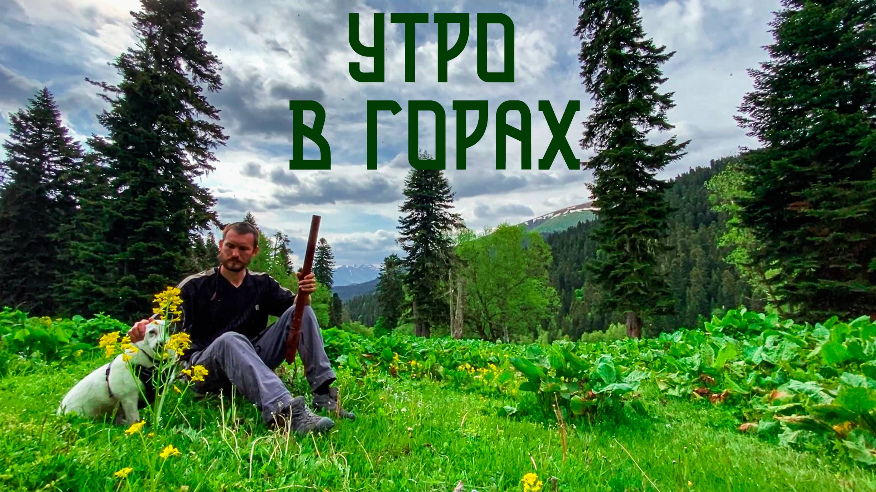 Утро в Горах / Горный Лес, Скалы и Хребты в Этнической Музыке смотреть онлайн