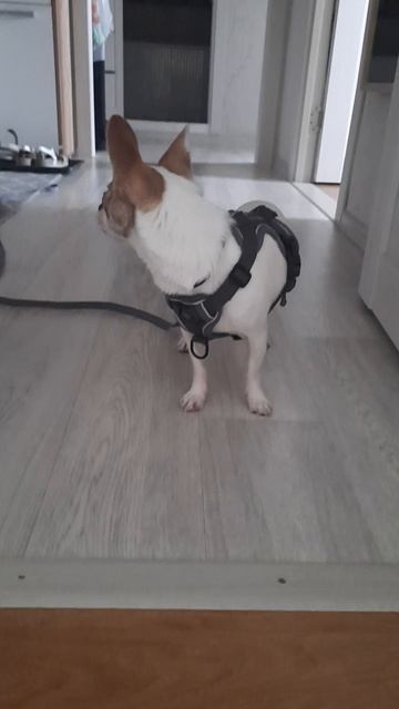 Джек отмечает 205 подписчиков! смотреть онлайн