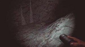 Depths Of Horror: Mushroom Day ➤ ПРОХОЖДЕНИЕ ➤ Сходили за грибочка?