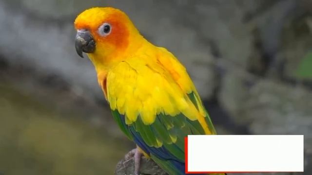 04. Educational video смотреть онлайн