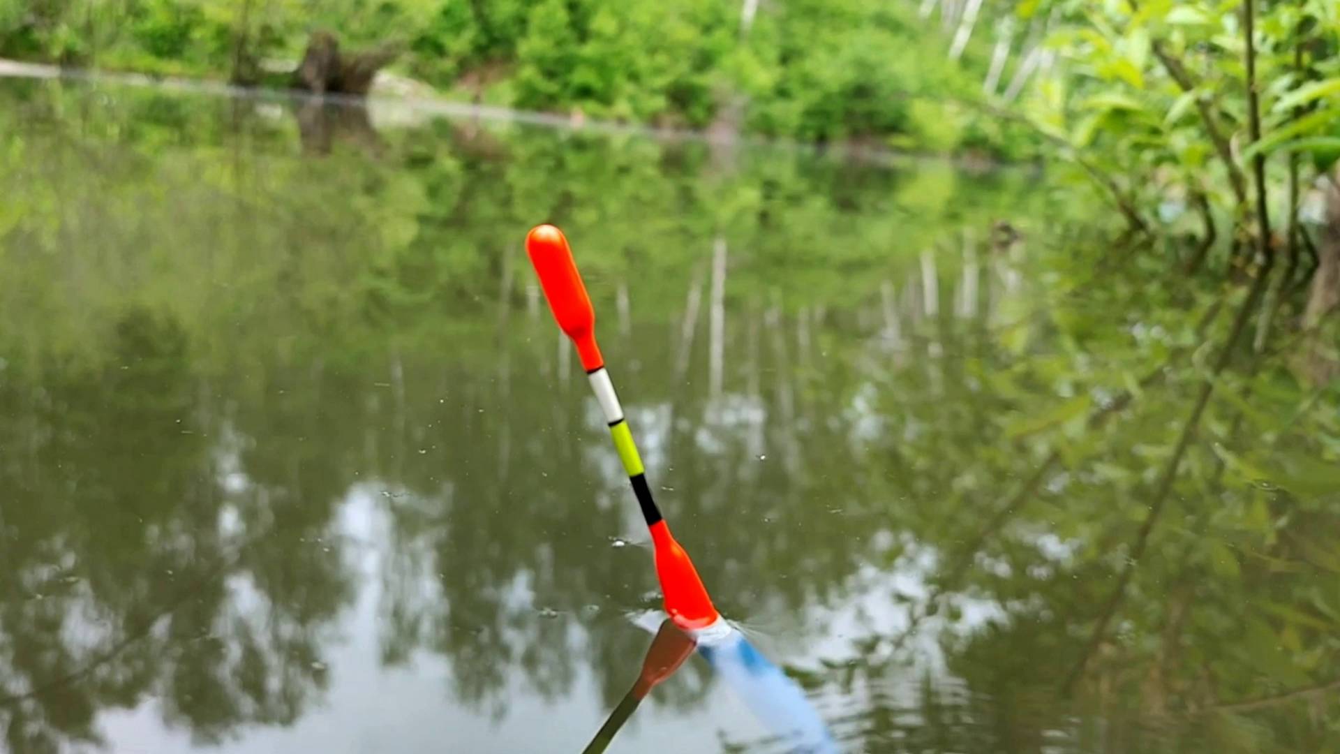 СУПЕР УЛОВИСТАЯ СНАСТЬ НА КРУПНУЮ РЫБУ смотреть онлайн