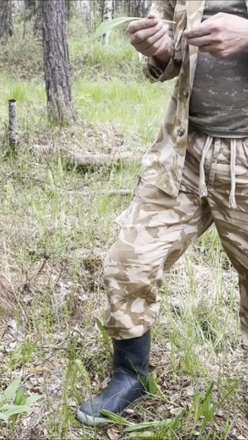 А вы пробовали черемшу? смотреть онлайн