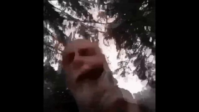 МЕРТВОЕ ПВП В СТАЛКРАФТЕ. КРАТКО ПРО ПРОБЛЕМЫ PVP В STALCRAF смотреть онлайн