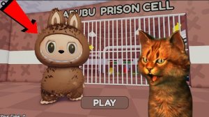 Я СБЕЖАЛ ОТ ЭТОГО СУМАСШЕДШЕГО ЛАБУБУ В РОБЛОКС