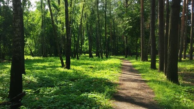 Санаторий Дубрава Орел 2025 Часть 2 смотреть онлайн