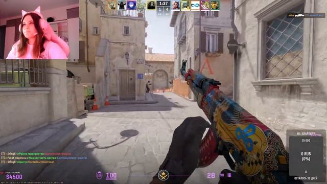 Вечерний стримчик получается🤔😎