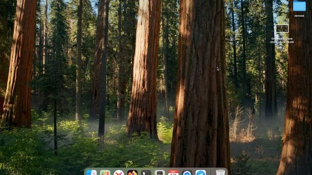 Всё обо всём