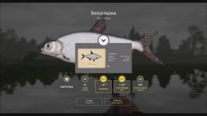 Рыбы с карточками в игре Русская рыбалка 4, фидерная коллекция, Белоглазка