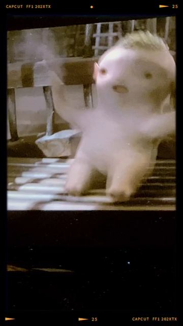 Обидели маленькое существо 😔 смотреть онлайн