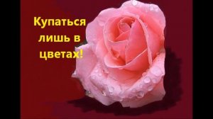 Мои пожелания от всей души!