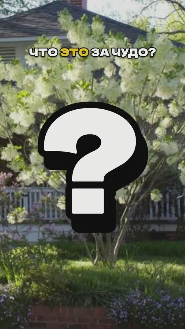 Почему Никто Не Сажает ЭТО?!🌸❓ смотреть онлайн