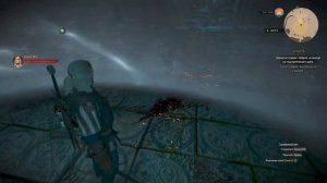 ЭЛЬФИЙСКИЕ ПОДЗЕМЕЛЬЯ ◈ The Witcher 3 Wild Hunt – Complete Edition #9