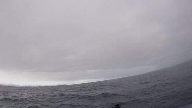 GOPR2885 смотреть онлайн